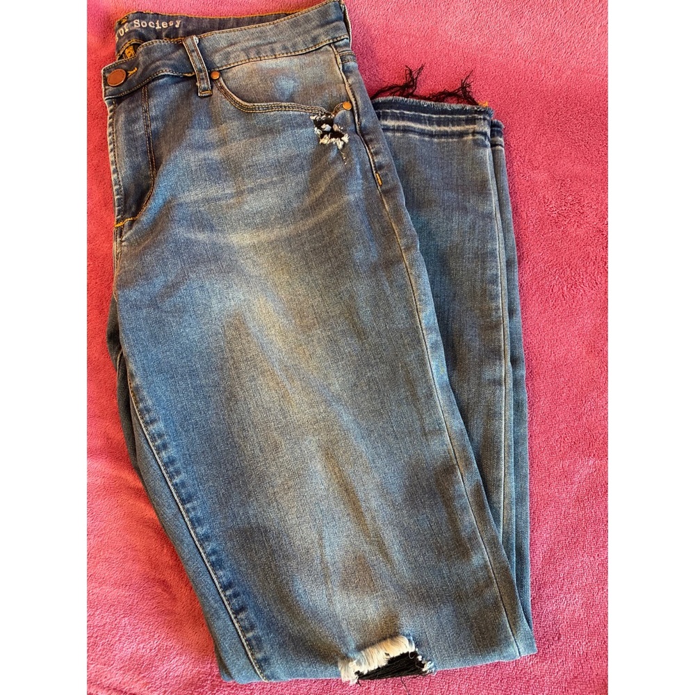 ✨SOLD✨ Articles of Society Jeans